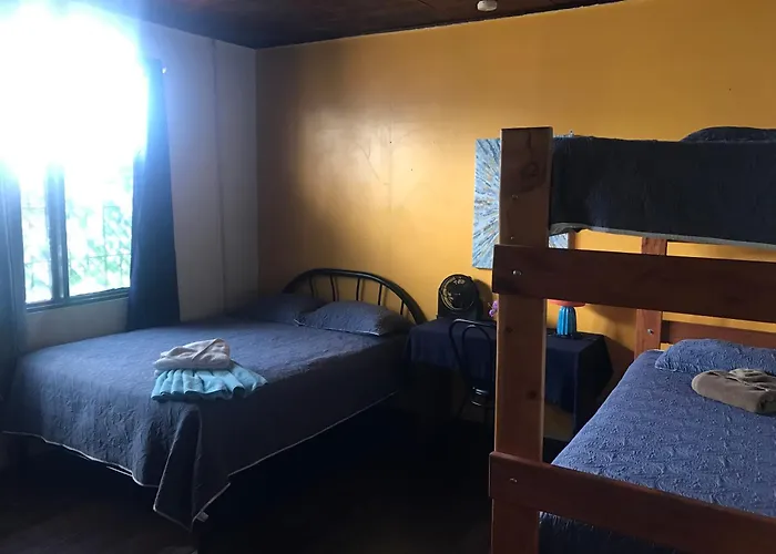 In The Wind Hostel And Guesthouse